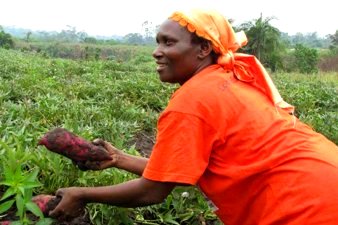 Woman Farmer in Africa. © UNEP