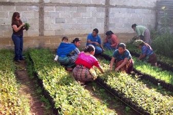 Women Farmers in Guatemala Initiative