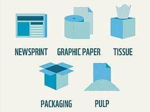 Pulp and Paper Products