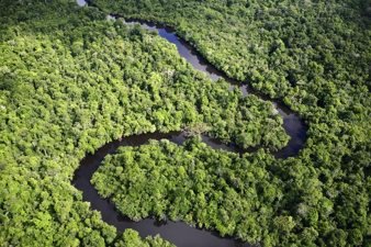 Amazon Rainforests. © Brent Stirton / Getty Images
