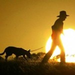 2013 Confirmed as Australia’s Hottest Year on Record