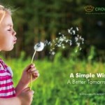 Crown Holdings Releases Second Sustainability Report