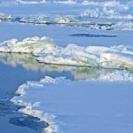 Storing Carbon in the Arctic