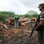 Brazil Begins Long-Awaited Operation to Save Earth’s Most Threatened Tribe