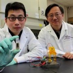 Researchers Develop Energy-dense, Biodegradable Sugar Biobattery