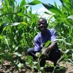 Kenyans Earn First Ever Carbon Credits from Sustainable Farming