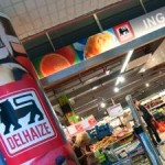 Global Retailer Delhaize Commits to No Deforestation