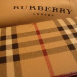 Burberry Commits to Toxic-Free Fashion