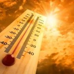 2013 Among Top Ten Warmest Years on Record