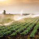 Global Food Trade can Alleviate Water Scarcity