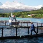 Responsible Salmon Comes to Leading World Market