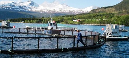 Salmon Farming in Norway