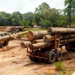 Logging Concessions Enabling Illegal Logging in Peruvian Amazon