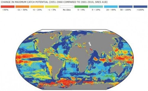 Changes in Fish Catch Potential