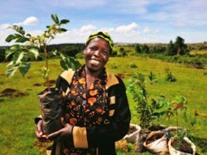 Planting Trees in Kenya