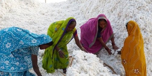 Better Cotton Initiative