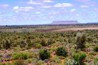 Dryland Ecosystem in Australia