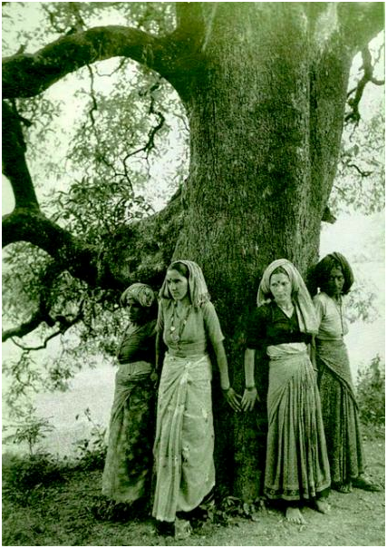 Chipko Movement to Save Trees in India