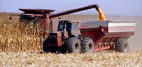 Corn Harvesting in U.S. © Ceres