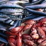 Seafood Industry under Threat from Climate Change and Ocean Acidification