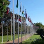 UNEP Joins UN Carbon Offsetting Programme for Second Year Running