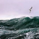 High Seas Store 500 Million Tonnes of Atmospheric Carbon Every Year