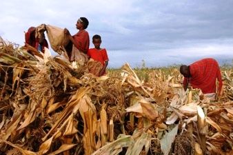 Pastoralists in Kenya