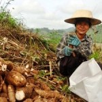 Land Grabbing Corporations Squeezing Out Small Family Farms