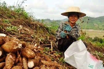 Small Farmer in Vietnam