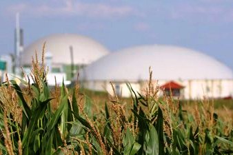 Biomass Energy Production