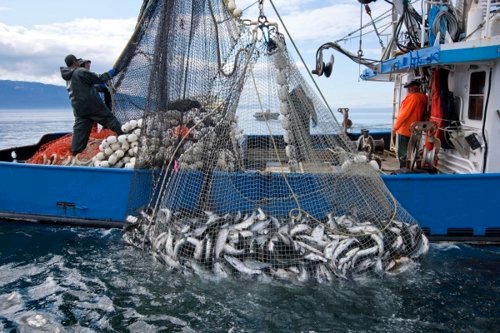 Salmon Fishing in Alaska. © ADF&G