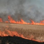 Study Shows Effects of Biomass Burning on Climate Change, Human Health