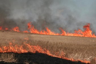 Biomass Burning