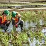 Suncor Energy Releases 2014 Report on Sustainability