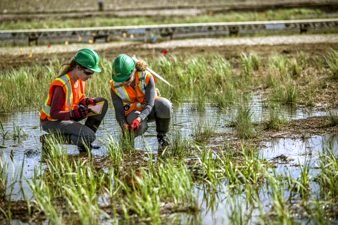 Land Reclamation by Suncor Energy