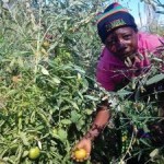 Investment in Climate Change Adaptation can Promote Livelihoods of 65% Africans