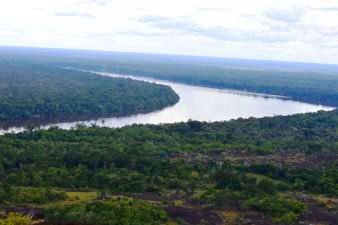 Inirida Fluvial Star Wetland, Columbia