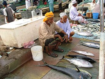 Fish Market in Oman