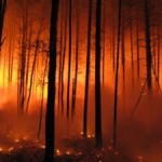 Climate Change to Increase Forest Fire Danger in Europe