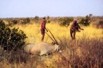 t2s-survival-botswana-kalahari-bushmen-hunting