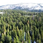 Sierra Nevada Freshwater Runoff could Drop 26% by 2100