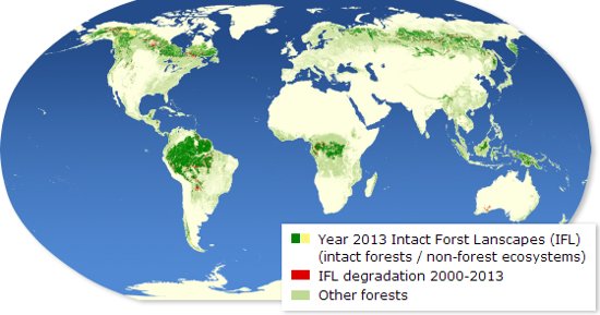 Global IFLs Mapping