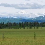 Researchers Create More Accurate Model for Emissions from Peatlands