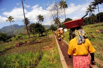 Rice Farmers in Tanzania