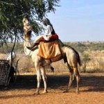 Resource Margins Shrinking in Sahel Region of Africa