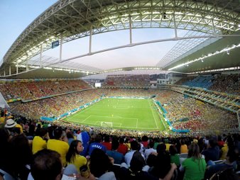 2014 FIFA World Cup