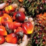 Unilever’s European Food Business Reaches 100% Traceable, Certified Sustainable Palm Oil