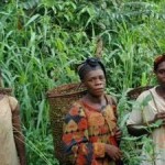 Rights of Forest Peoples Being Ignored in Climate Change Negotiations