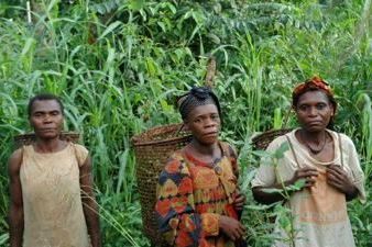 Forest Peoples in Cameroon