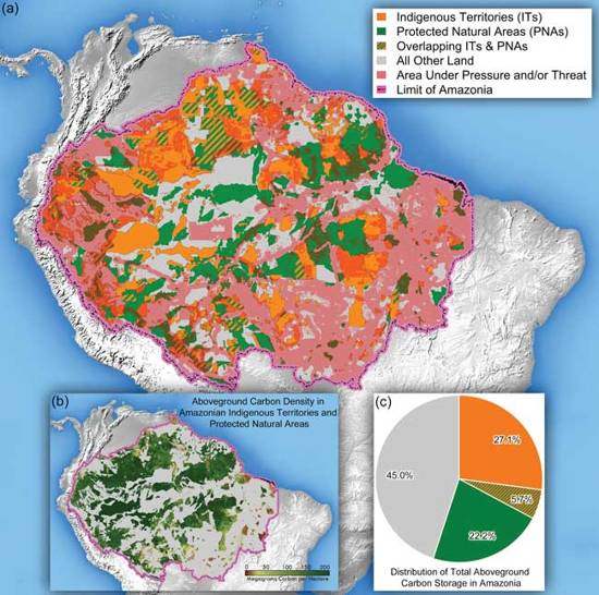 Indigenous Territories in Amazon